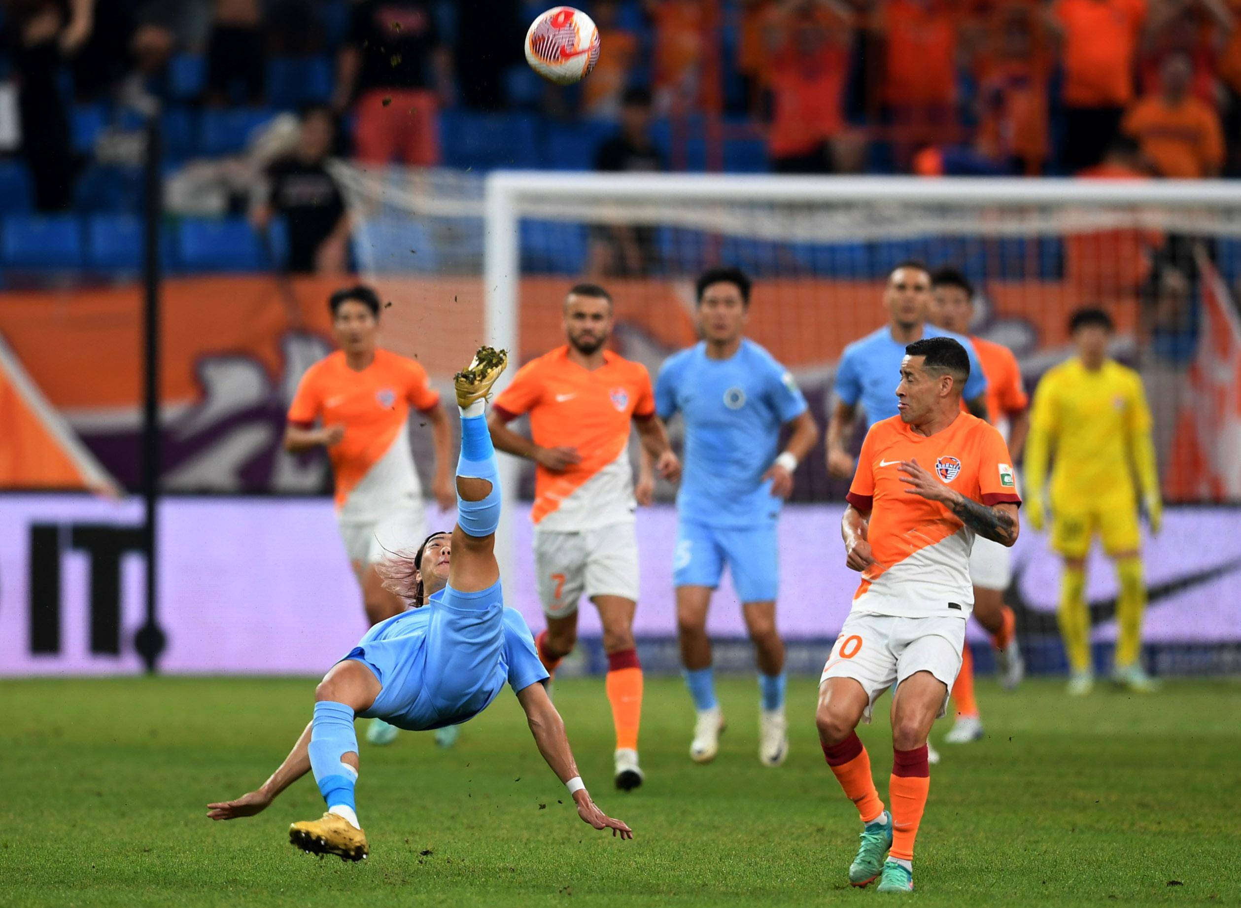 明确表示 明确表示